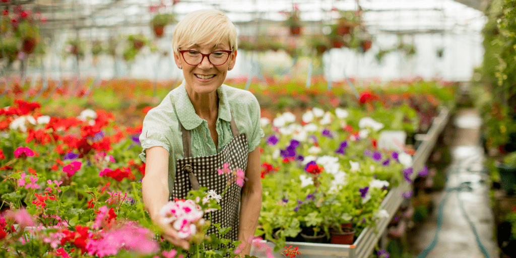Working in retirement